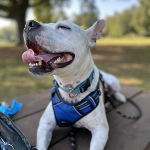 Team Page: The Crate Escape